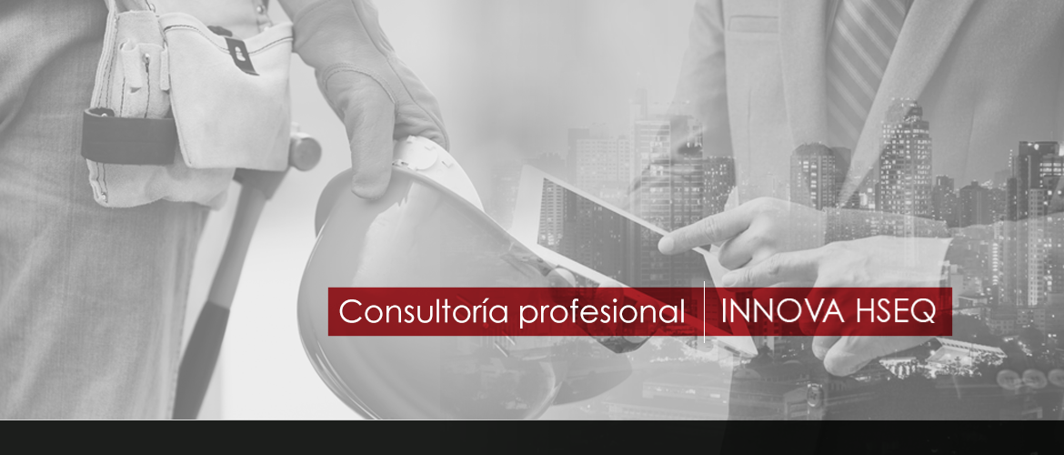 Consultoría Profesional