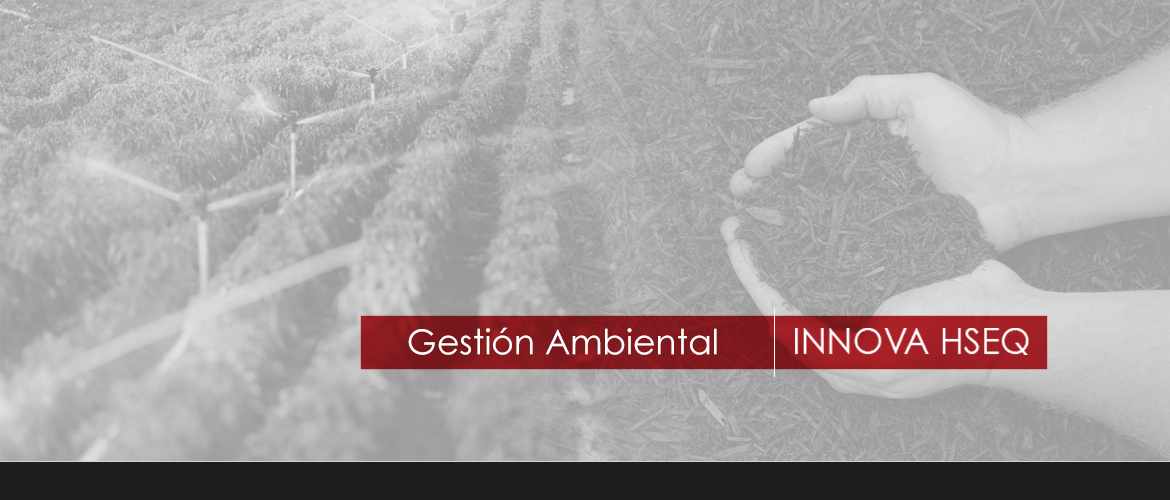 Gestión Ambiental