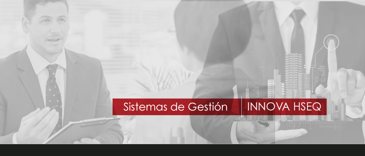 Sistemas de Gestión